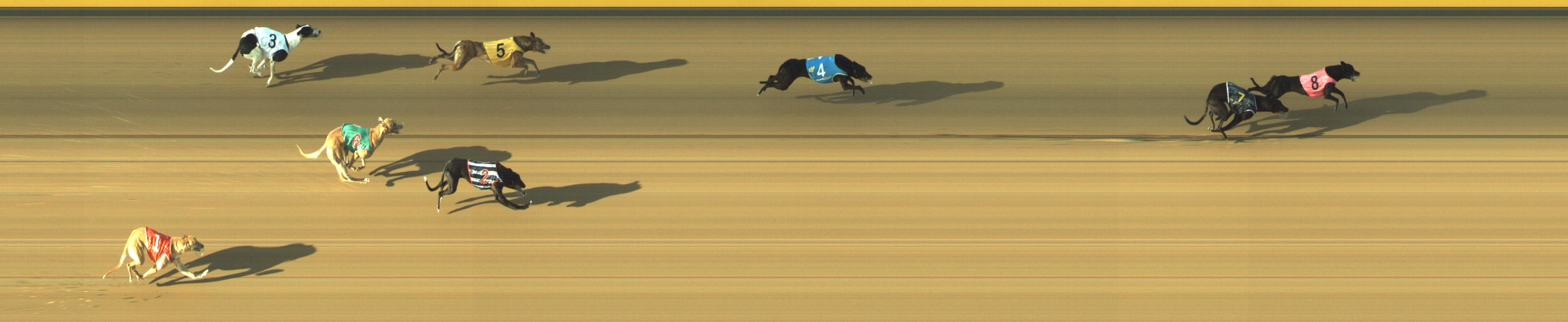 Race result finish photo